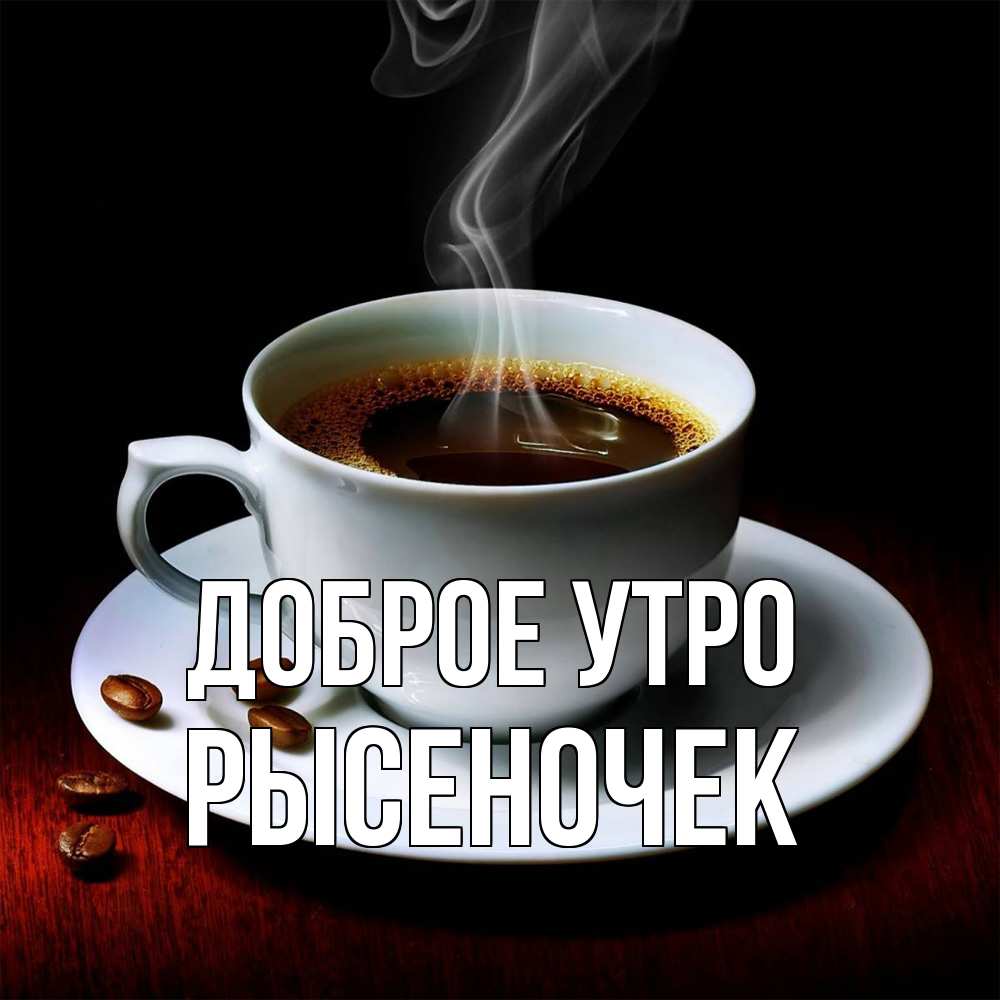 Открытка на каждый день с именем, Рысеночек Доброе утро белая посуда Прикольная открытка с пожеланием онлайн скачать бесплатно 