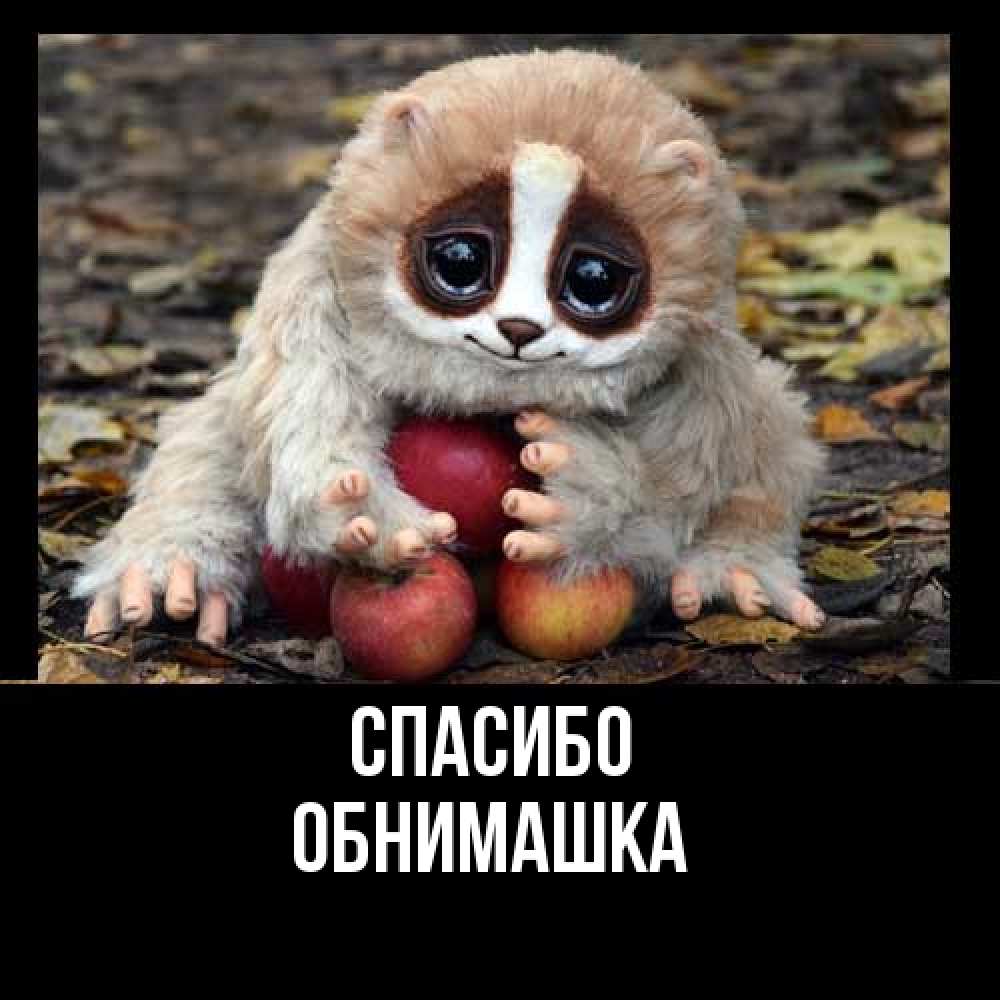 Открытка на каждый день с именем, обнимашка Спасибо прикольное животное Прикольная открытка с пожеланием онлайн скачать бесплатно 