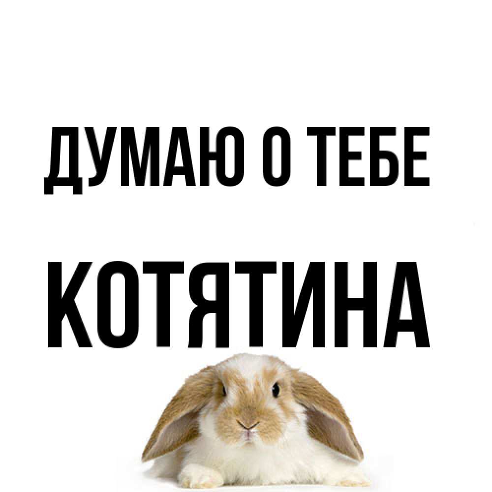 Открытка на каждый день с именем, Котятина Думаю о тебе подписать своими руками онлайн Прикольная открытка с пожеланием онлайн скачать бесплатно 