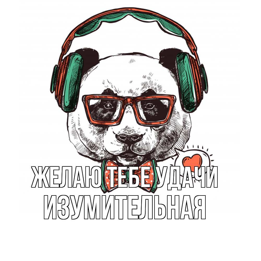 Открытка на каждый день с именем, изумительная Желаю тебе удачи деловой пес Прикольная открытка с пожеланием онлайн скачать бесплатно 
