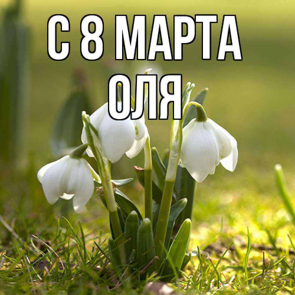 Открытка на каждый день с именем, Оля C 8 МАРТА ранние цветы 2 Прикольная открытка с пожеланием онлайн скачать бесплатно 