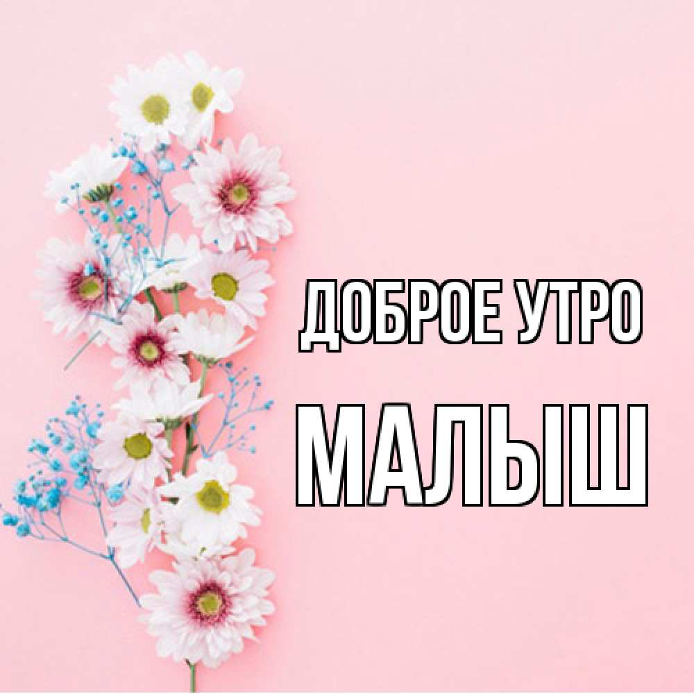 Открытка на каждый день с именем, Малыш Доброе утро цветы с подписью Прикольная открытка с пожеланием онлайн скачать бесплатно 