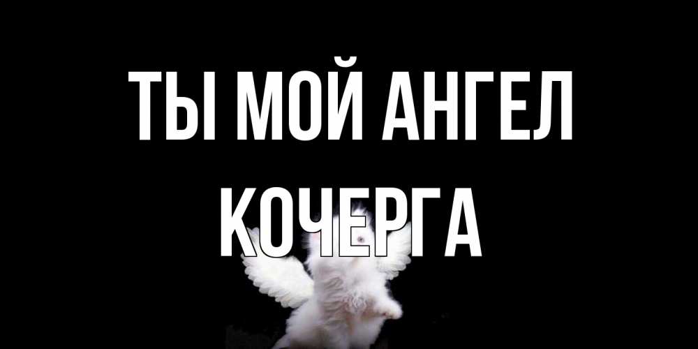 Открытка на каждый день с именем, Кочерга Ты мой ангел Кот ангел Прикольная открытка с пожеланием онлайн скачать бесплатно 
