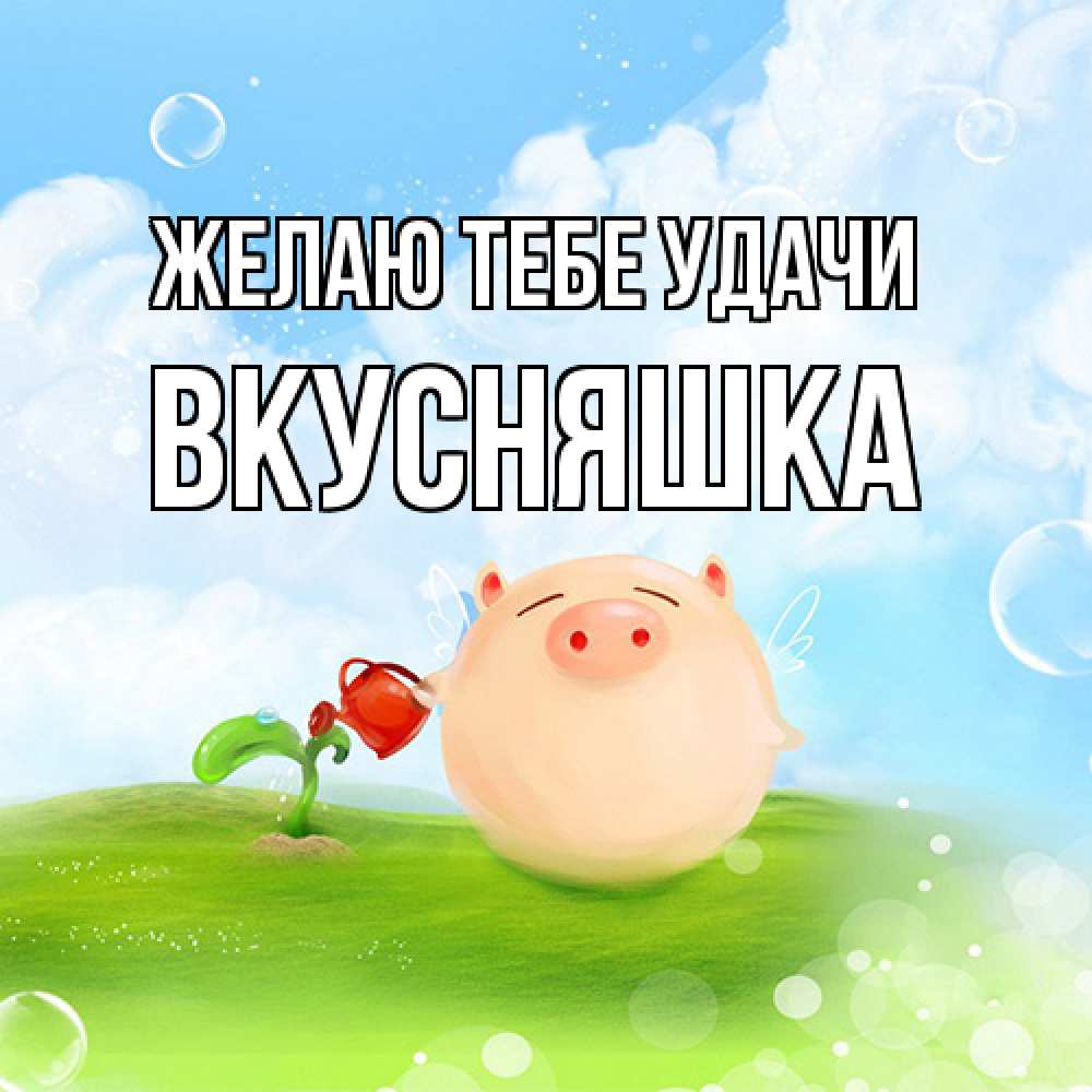 Открытка на каждый день с именем, Вкусняшка Желаю тебе удачи поросенок поливает цветок. летнее настроение Прикольная открытка с пожеланием онлайн скачать бесплатно 