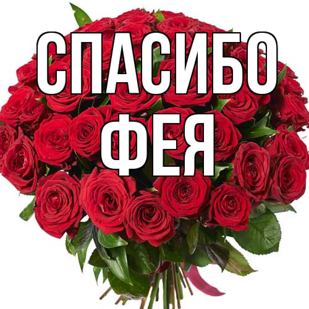 Открытка на каждый день с именем, фея Спасибо букет красных роз Прикольная открытка с пожеланием онлайн скачать бесплатно 