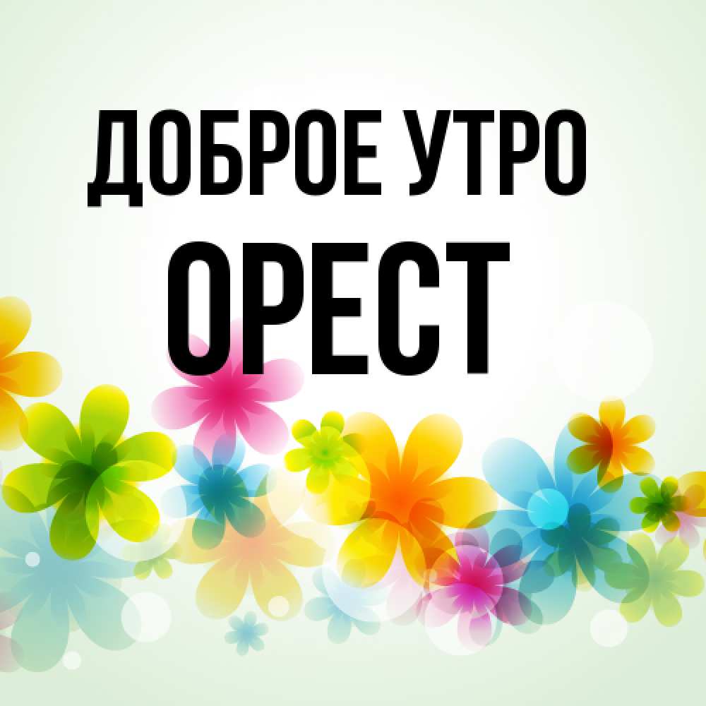 Открытка на каждый день с именем, Орест Доброе утро позитивные цветочки Прикольная открытка с пожеланием онлайн скачать бесплатно 