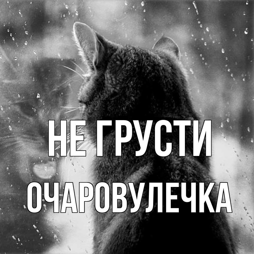 Открытка на каждый день с именем, Очаpовулечка Не грусти отражение кота 1 Прикольная открытка с пожеланием онлайн скачать бесплатно 