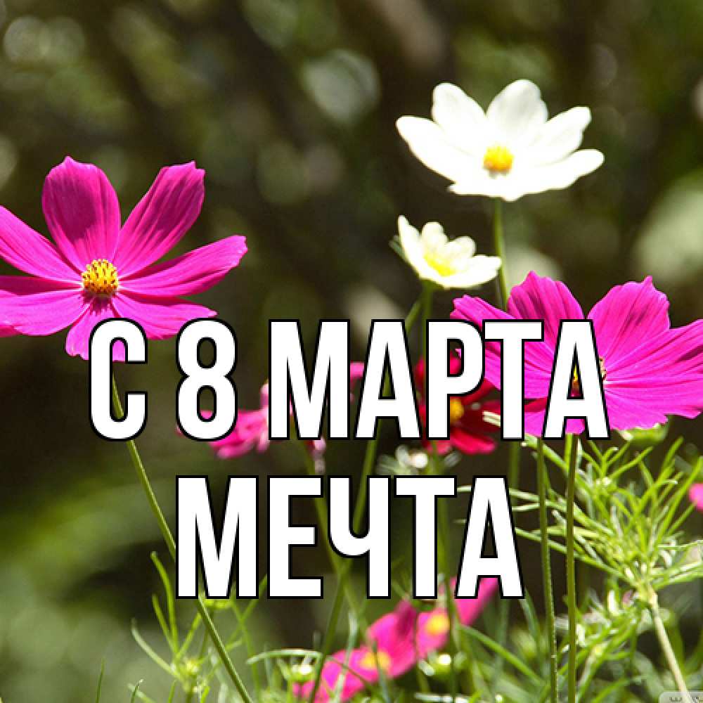 Открытка на каждый день с именем, мечта C 8 МАРТА цветы Прикольная открытка с пожеланием онлайн скачать бесплатно 