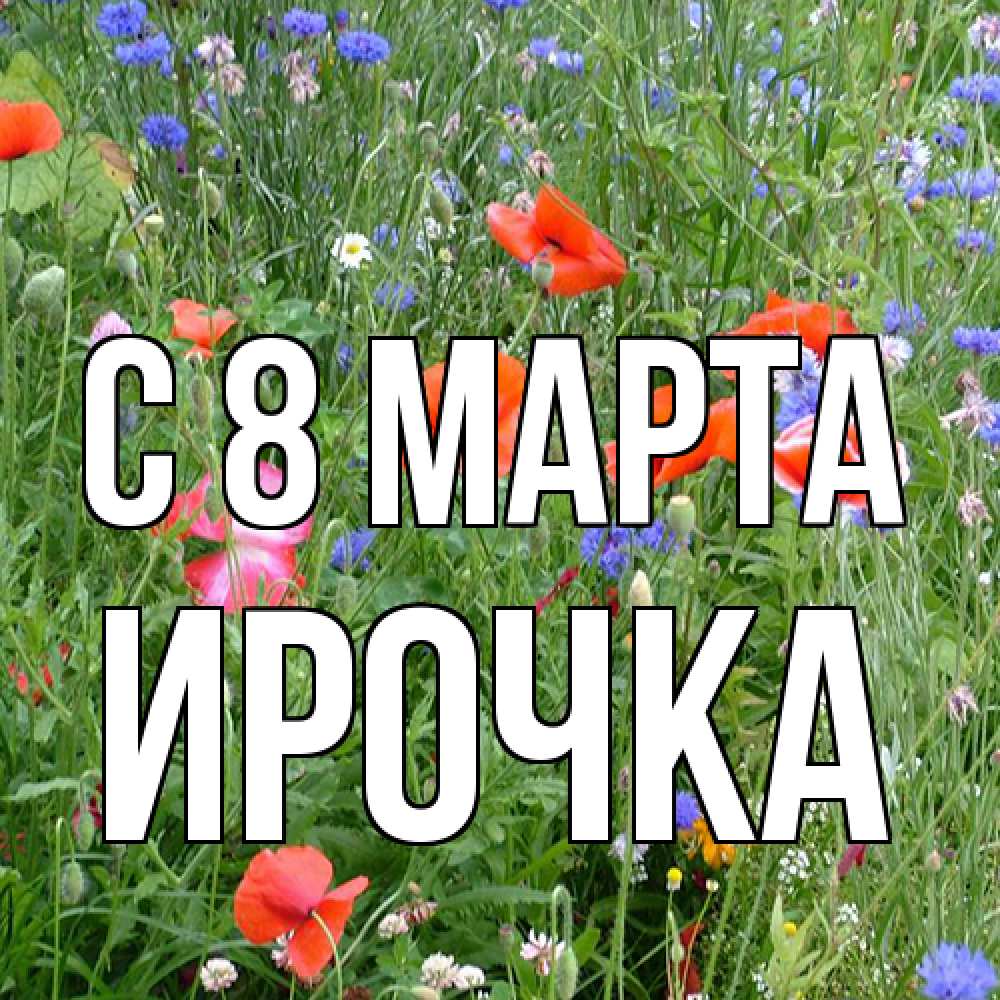 Открытка на каждый день с именем, Ирочка C 8 МАРТА международный женский день 4 Прикольная открытка с пожеланием онлайн скачать бесплатно 