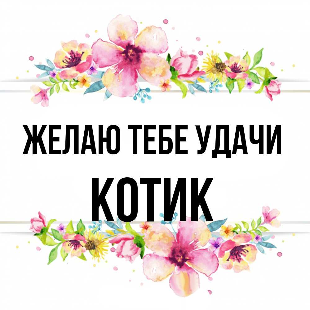 Открытка на каждый день с именем, Котик Желаю тебе удачи пусть повезет 1 Прикольная открытка с пожеланием онлайн скачать бесплатно 