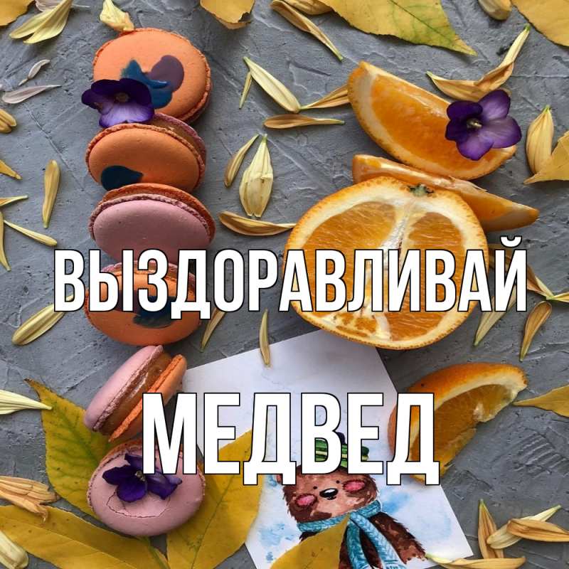 Картинка Выздоравливай, Медвед