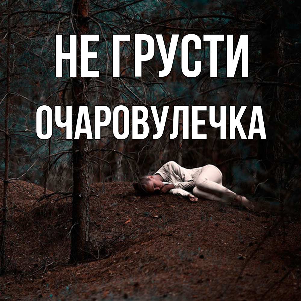 Открытка на каждый день с именем, Очаpовулечка Не грусти лес Прикольная открытка с пожеланием онлайн скачать бесплатно 