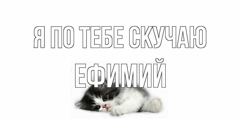 Открытка на каждый день с именем, Ефимий Я по тебе скучаю кот, скука Прикольная открытка с пожеланием онлайн скачать бесплатно 
