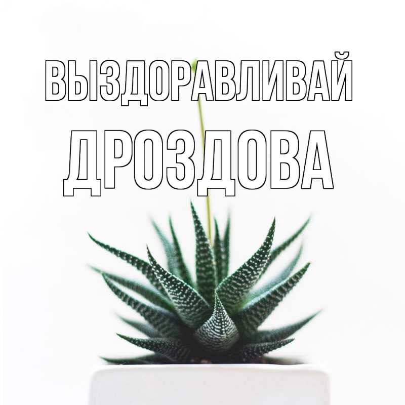 Картинка Выздоравливай, Дроздова