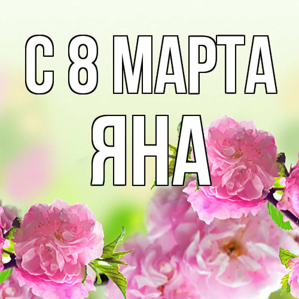 Открытка на каждый день с именем, Яна C 8 МАРТА цветы Прикольная открытка с пожеланием онлайн скачать бесплатно 