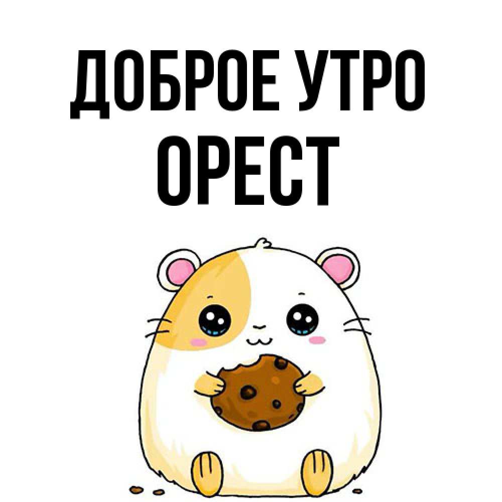 Открытка на каждый день с именем, Орест Доброе утро есть печеньку. Утречко Прикольная открытка с пожеланием онлайн скачать бесплатно 