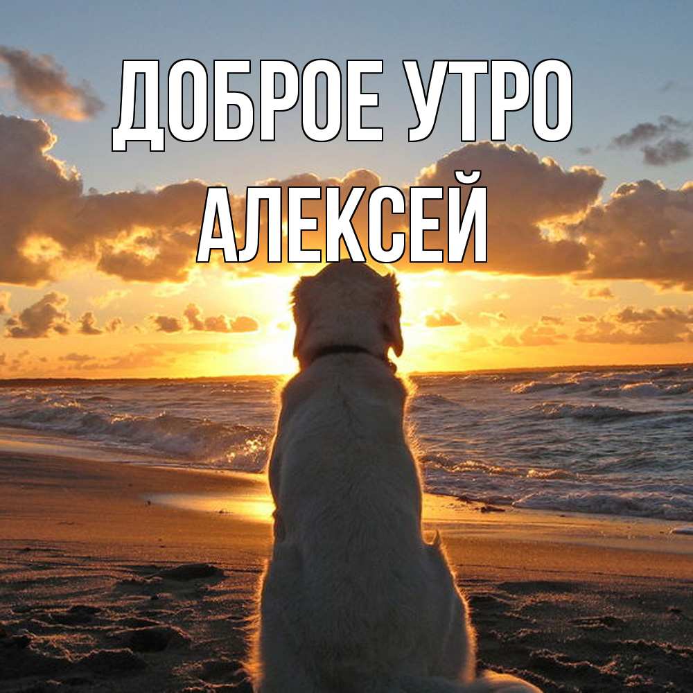 Открытка на каждый день с именем, Алексей Доброе утро восход солнца Прикольная открытка с пожеланием онлайн скачать бесплатно 