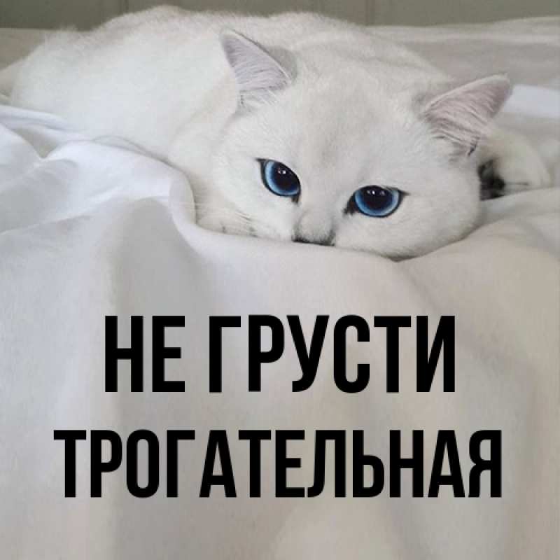 Открытка с именем, Трогательная, Не грусти