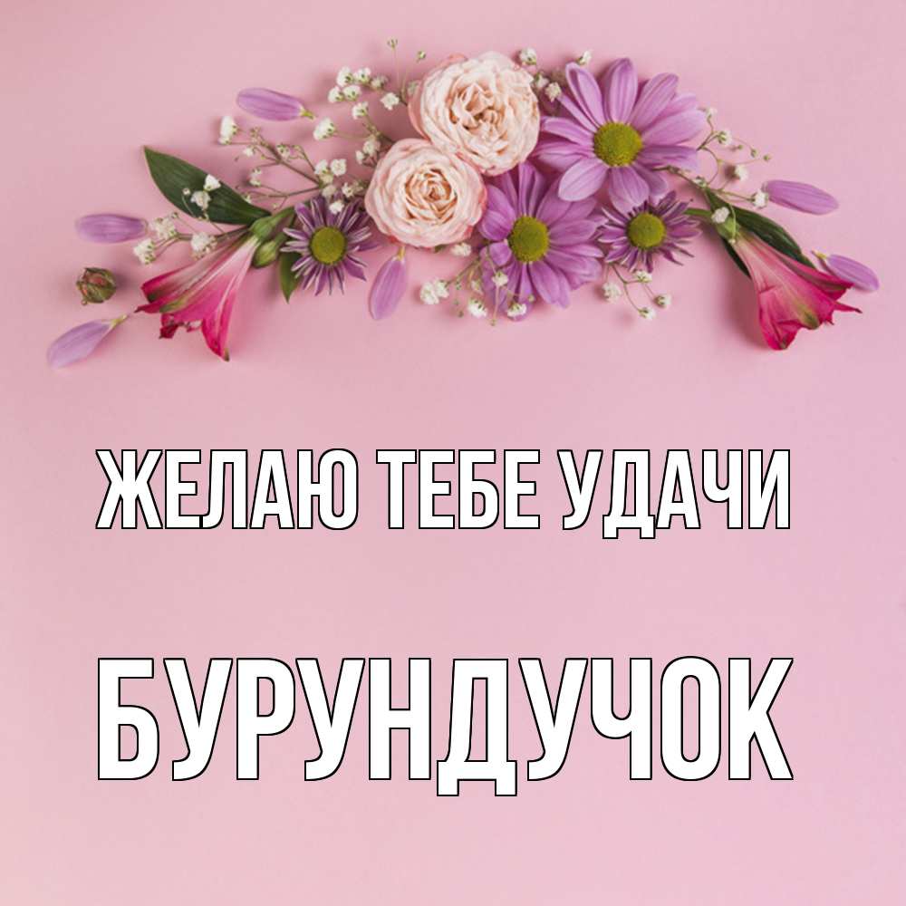Открытка на каждый день с именем, бурундучок Желаю тебе удачи розовый фон Прикольная открытка с пожеланием онлайн скачать бесплатно 