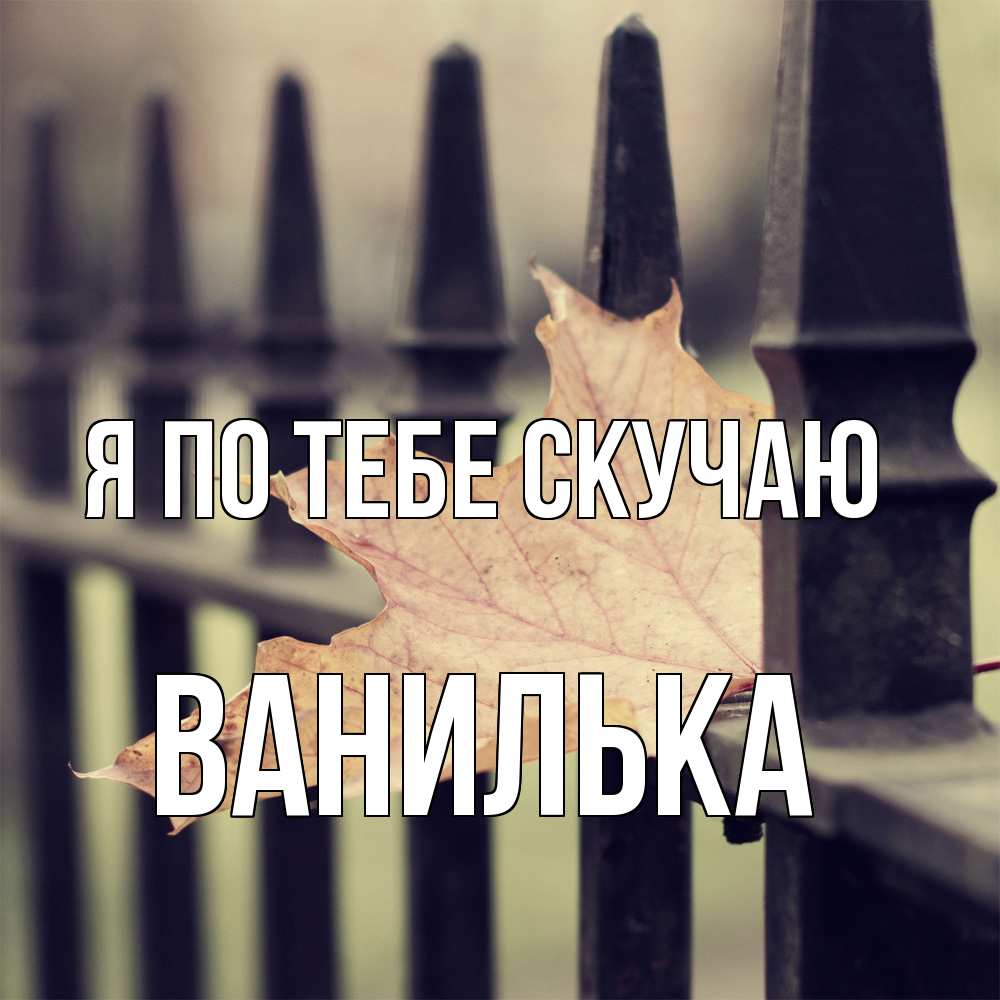 Открытка на каждый день с именем, Ванилька Я по тебе скучаю очень скучно Прикольная открытка с пожеланием онлайн скачать бесплатно 