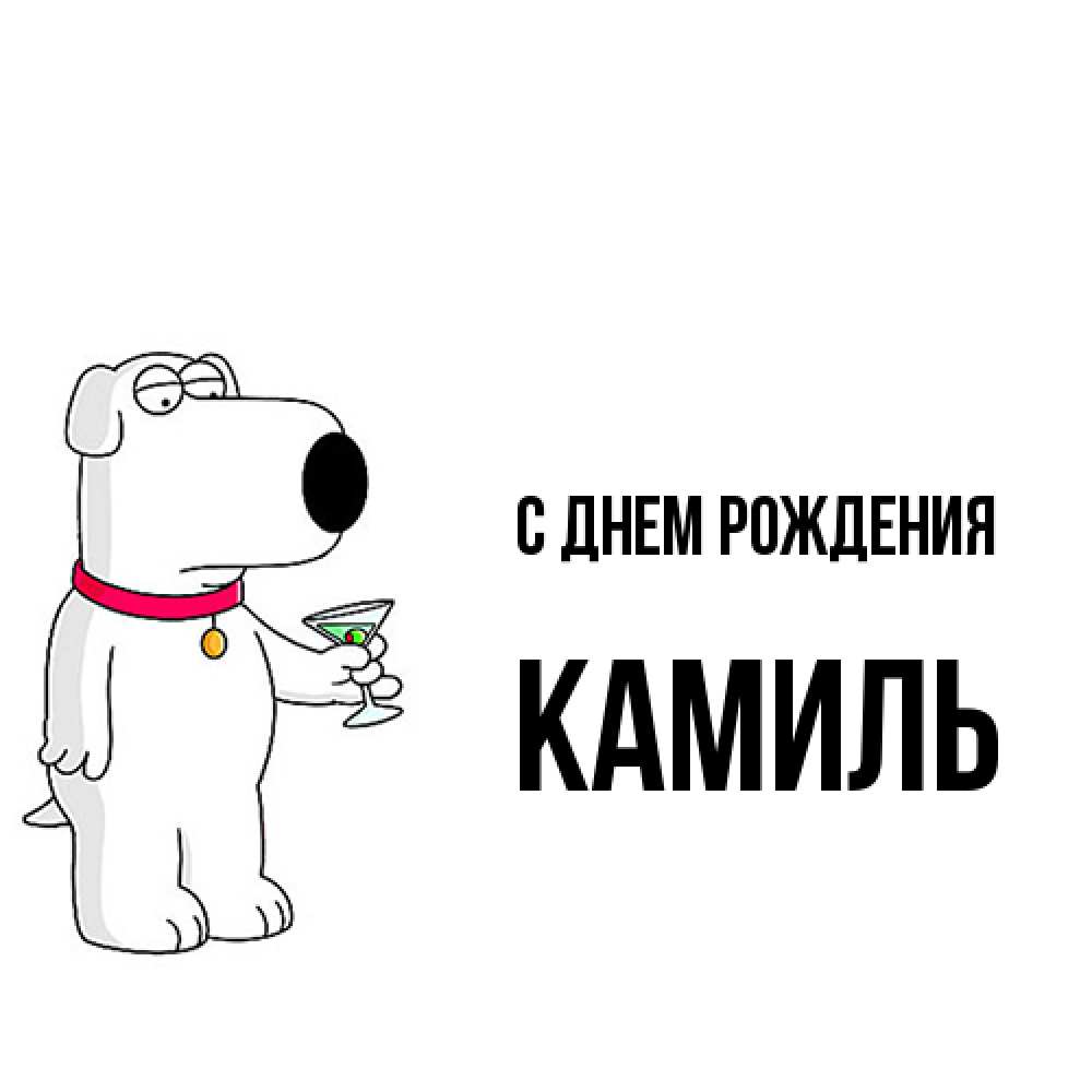 Открытка на каждый день с именем, Камиль С днем рождения песик с оливками Прикольная открытка с пожеланием онлайн скачать бесплатно 