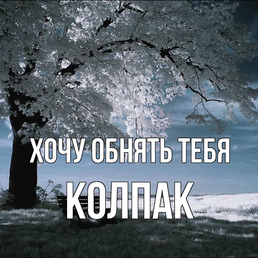 Открытка на каждый день с именем, Колпак Хочу обнять тебя дерево Прикольная открытка с пожеланием онлайн скачать бесплатно 