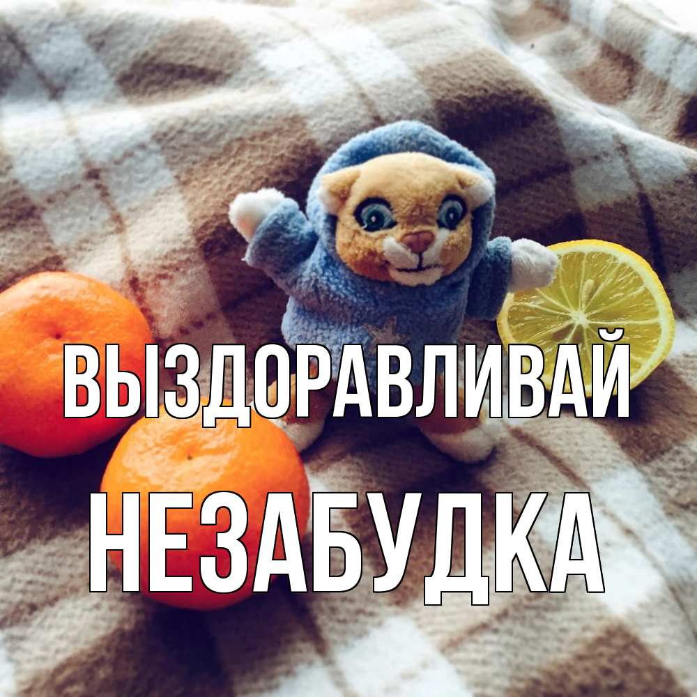 Открытка на каждый день с именем, Незабудка Выздоравливай вот тебе апельсинка и лимон Прикольная открытка с пожеланием онлайн скачать бесплатно 