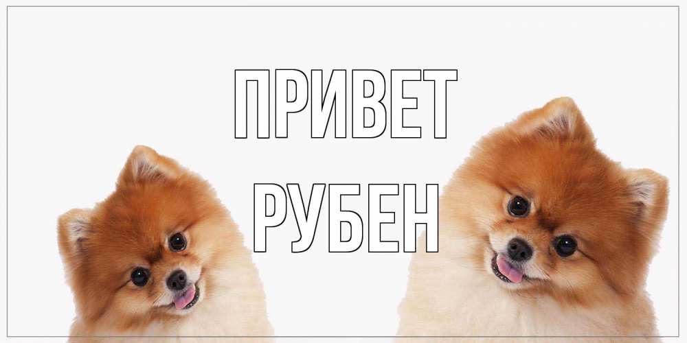 Открытка на каждый день с именем, Рубен Привет привет Прикольная открытка с пожеланием онлайн скачать бесплатно 