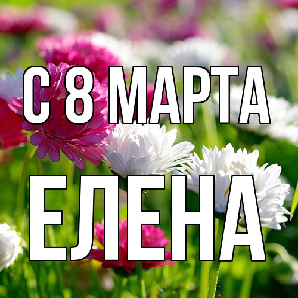 Открытка на каждый день с именем, Елена C 8 МАРТА международный женский день 1 Прикольная открытка с пожеланием онлайн скачать бесплатно 