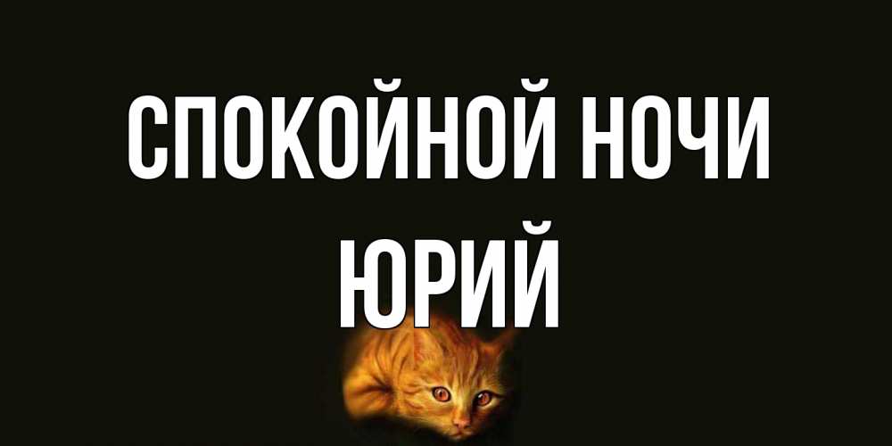 Открытка на каждый день с именем, Юрий Спокойной ночи кот Прикольная открытка с пожеланием онлайн скачать бесплатно 