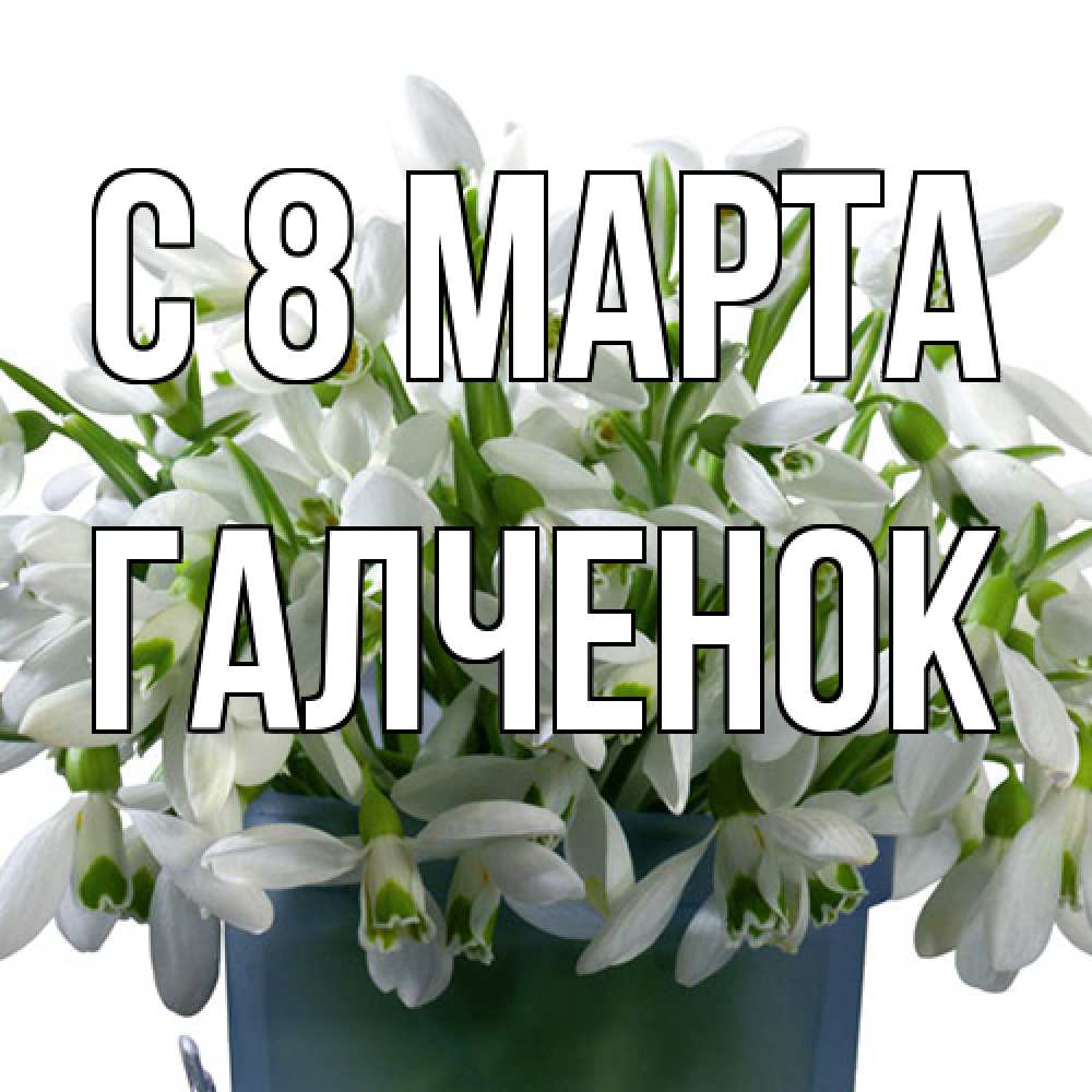 Открытка на каждый день с именем, Галченок C 8 МАРТА цветы к международному женскому дню Прикольная открытка с пожеланием онлайн скачать бесплатно 