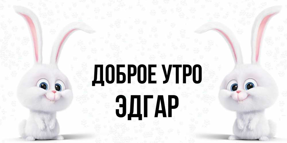 Открытка на каждый день с именем, Эдгар Доброе утро кролики с длинными ушками Прикольная открытка с пожеланием онлайн скачать бесплатно 