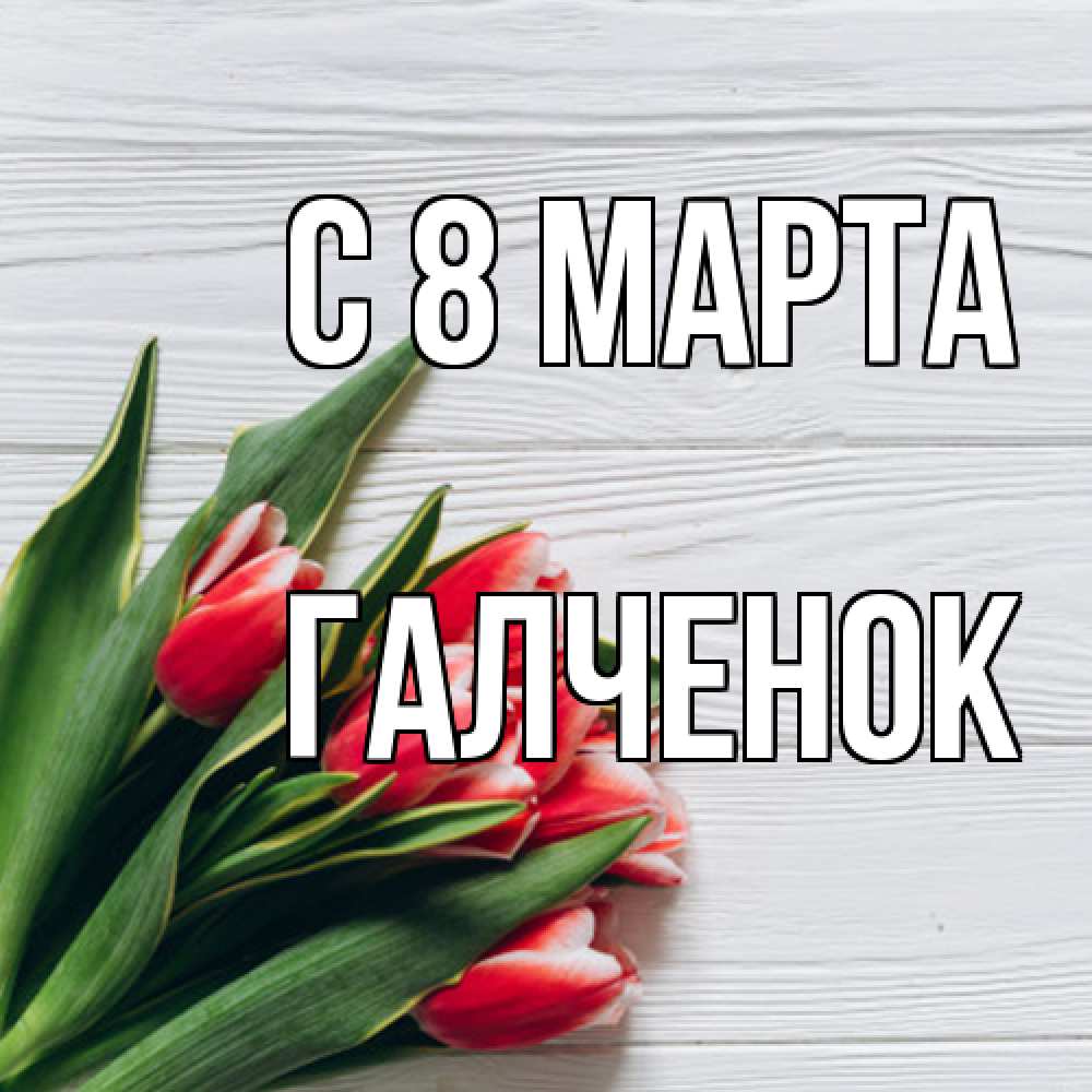 Открытка на каждый день с именем, Галченок C 8 МАРТА весна 2 Прикольная открытка с пожеланием онлайн скачать бесплатно 