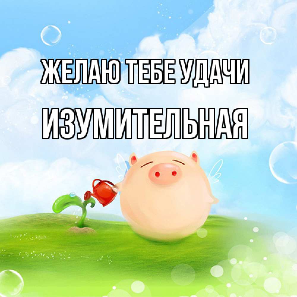 Открытка на каждый день с именем, изумительная Желаю тебе удачи поросенок поливает цветок. летнее настроение Прикольная открытка с пожеланием онлайн скачать бесплатно 