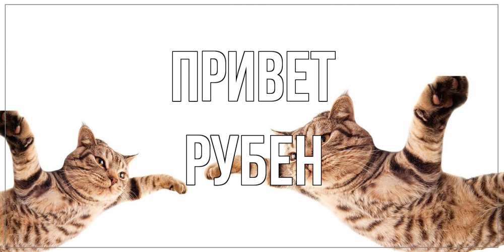 Открытка на каждый день с именем, Рубен Привет кот Прикольная открытка с пожеланием онлайн скачать бесплатно 