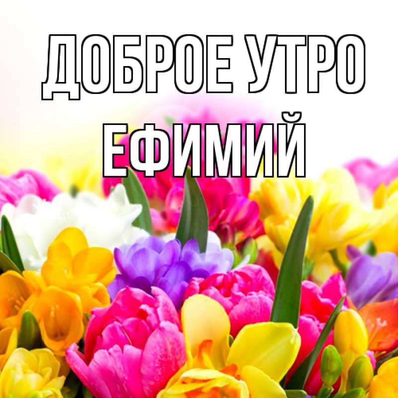 Открытка с именем, Ефимий, Доброе утро