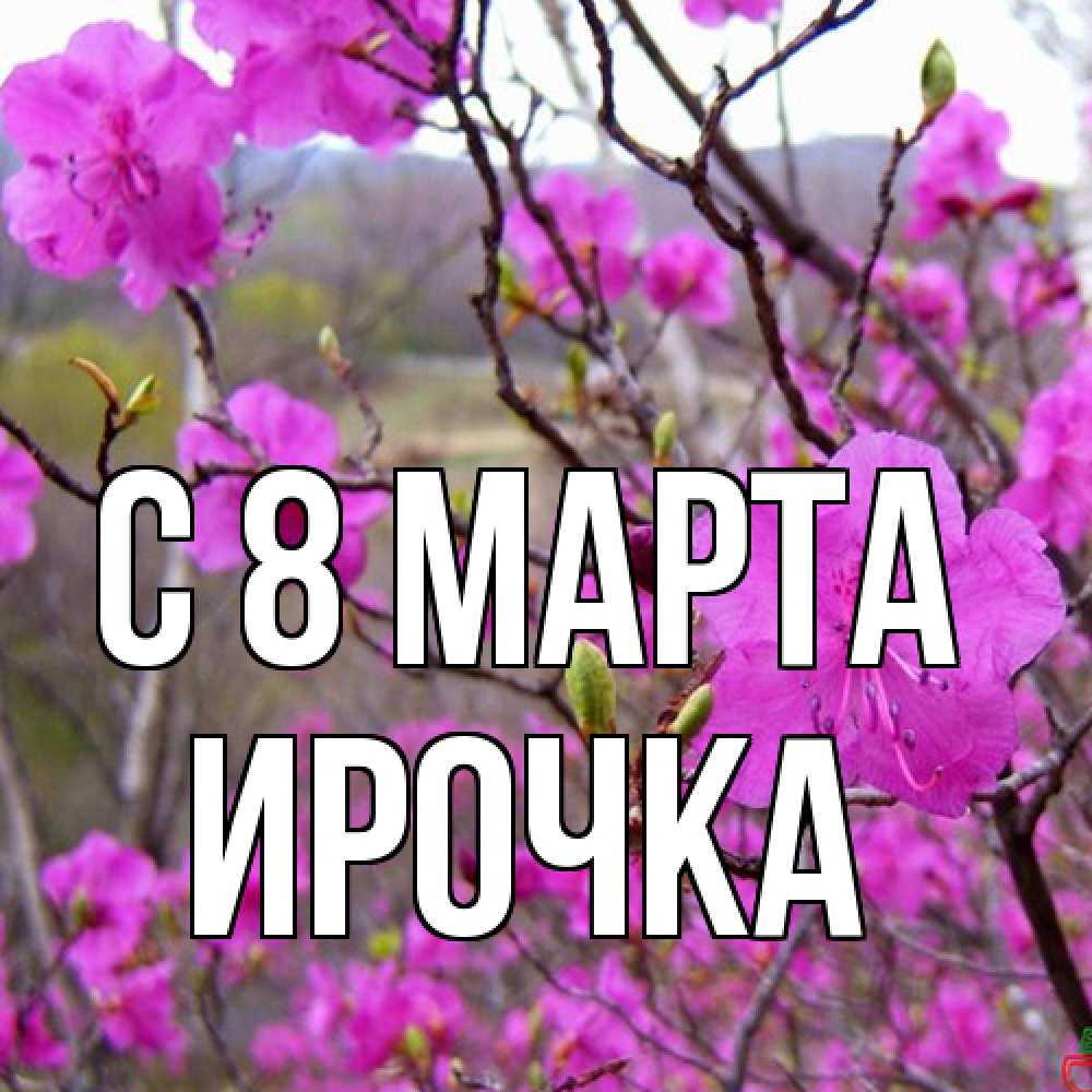 Открытка на каждый день с именем, Ирочка C 8 МАРТА международный женский день Прикольная открытка с пожеланием онлайн скачать бесплатно 
