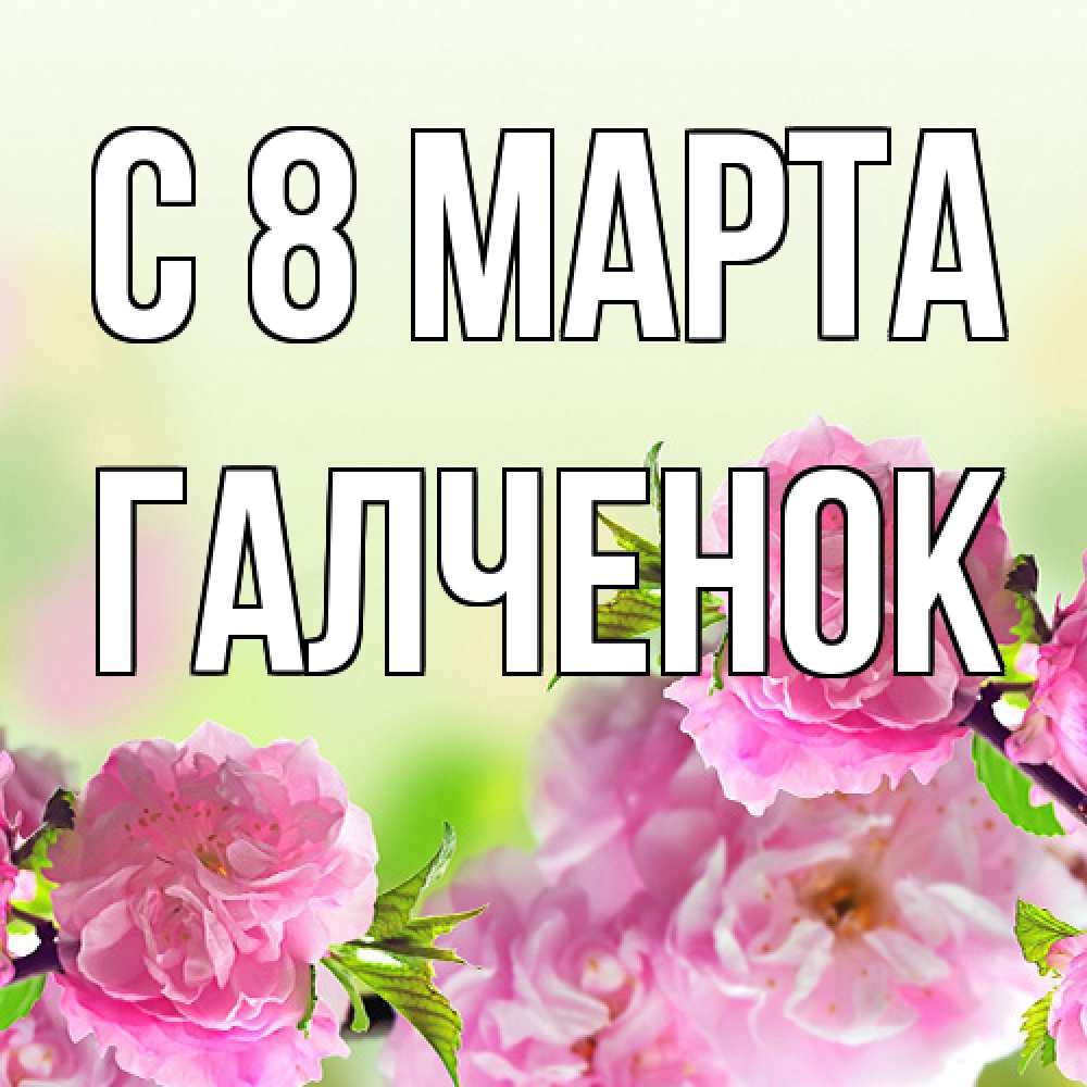Открытка на каждый день с именем, Галченок C 8 МАРТА цветы Прикольная открытка с пожеланием онлайн скачать бесплатно 