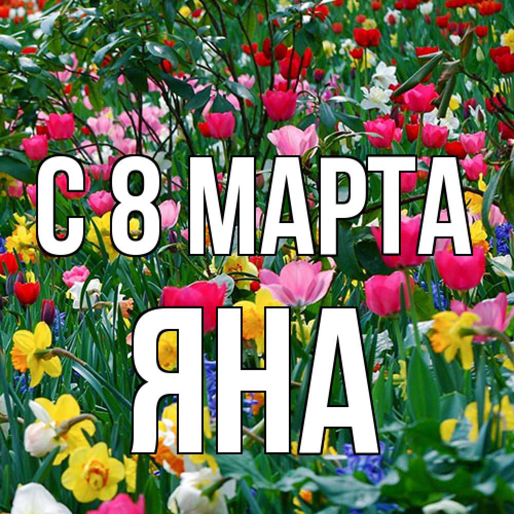 Открытка на каждый день с именем, Яна C 8 МАРТА с международным женским днем поздравления для женщины Прикольная открытка с пожеланием онлайн скачать бесплатно 