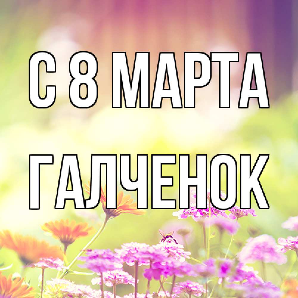 Открытка на каждый день с именем, Галченок C 8 МАРТА цветы весна Прикольная открытка с пожеланием онлайн скачать бесплатно 