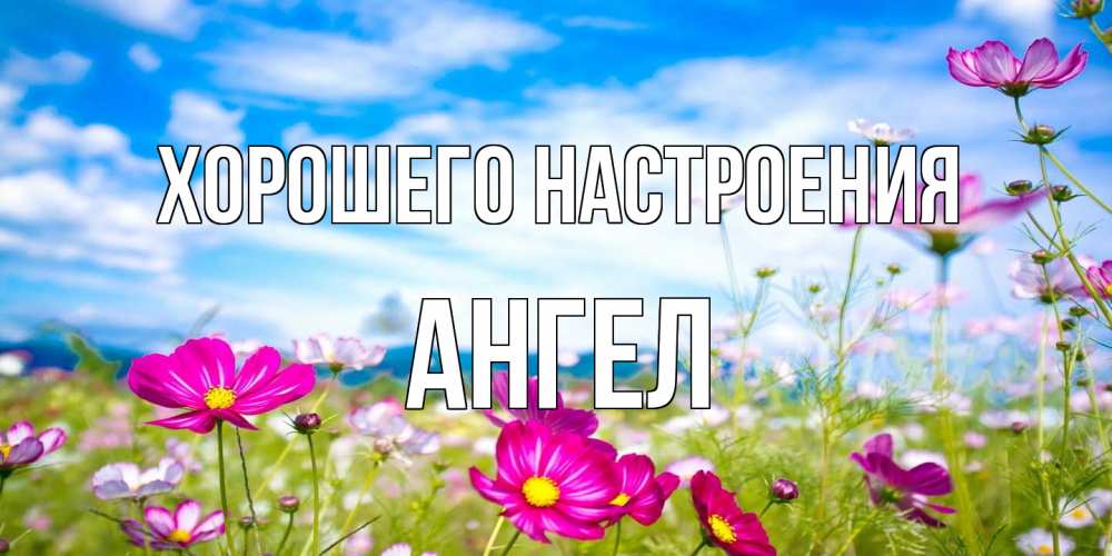Открытка на каждый день с именем, Ангел Хорошего настроения поле цветов Прикольная открытка с пожеланием онлайн скачать бесплатно 