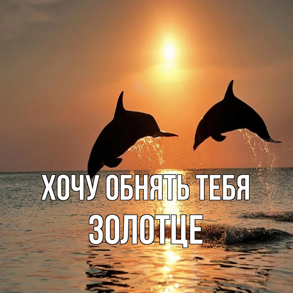 Открытка на каждый день с именем, Золотце Хочу обнять тебя рыбы на закате Прикольная открытка с пожеланием онлайн скачать бесплатно 