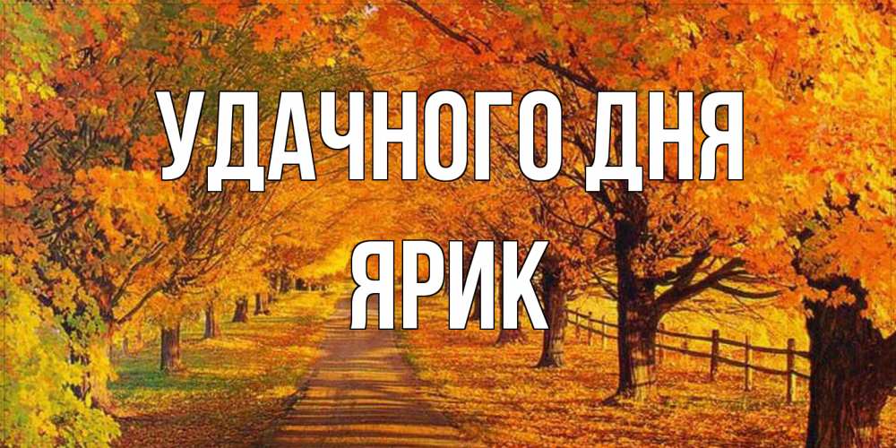 Открытка на каждый день с именем, Ярик Удачного дня деревья с осенними листьями Прикольная открытка с пожеланием онлайн скачать бесплатно 
