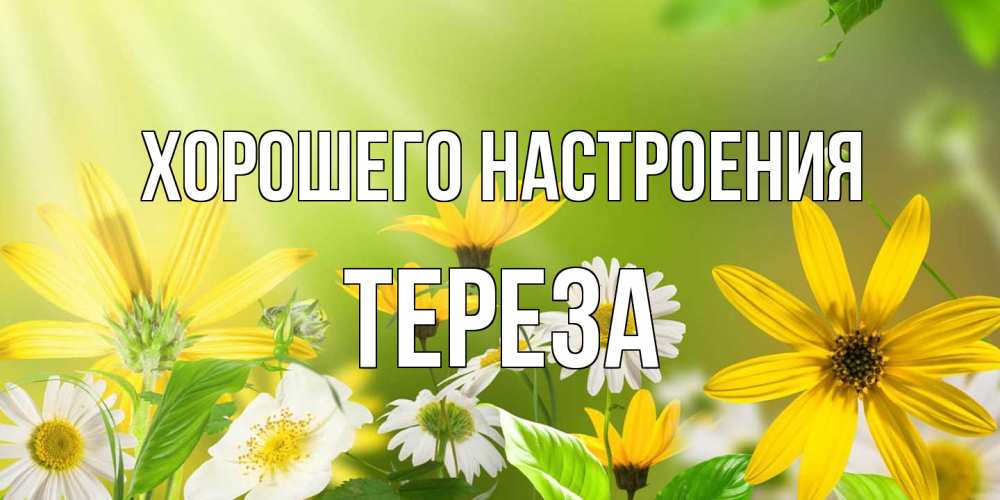 Открытка на каждый день с именем, Тереза Хорошего настроения цветы Прикольная открытка с пожеланием онлайн скачать бесплатно 