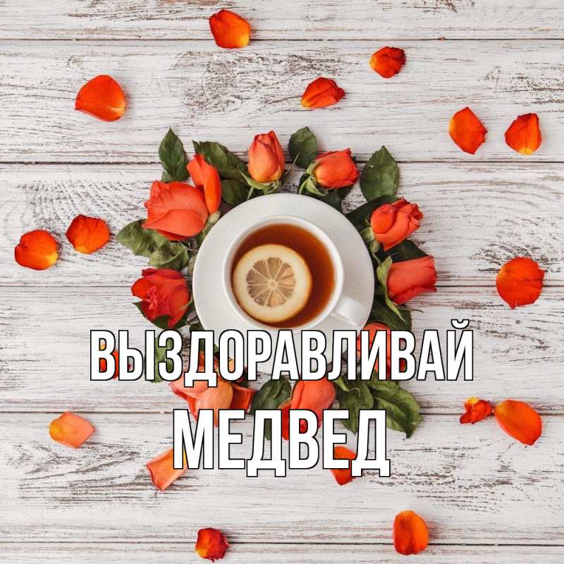 Картинка Выздоравливай, Медвед