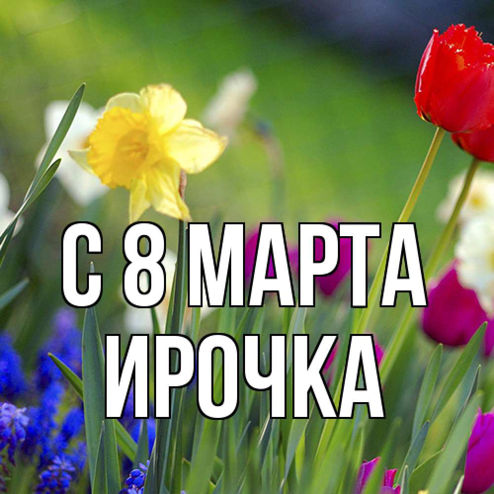 Открытка на каждый день с именем, Ирочка C 8 МАРТА международный женский день 3 Прикольная открытка с пожеланием онлайн скачать бесплатно 
