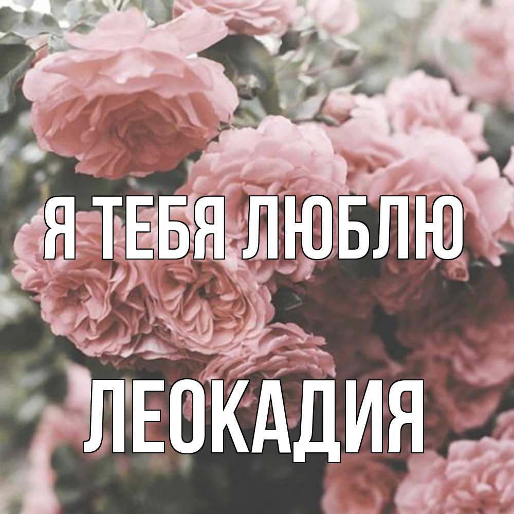 Открытка на каждый день с именем, Леокадия Я тебя люблю розы 3 Прикольная открытка с пожеланием онлайн скачать бесплатно 