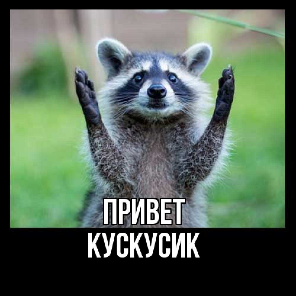 Открытка на каждый день с именем, кускусик Привет животные Прикольная открытка с пожеланием онлайн скачать бесплатно 