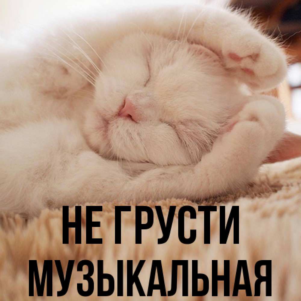 Открытка на каждый день с именем, Музыкальная Не грусти Котенок спит Прикольная открытка с пожеланием онлайн скачать бесплатно 