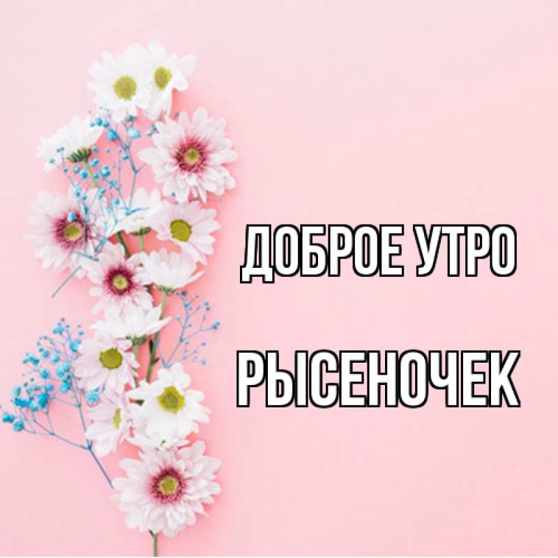 Картинка Доброе утро, Рысеночек